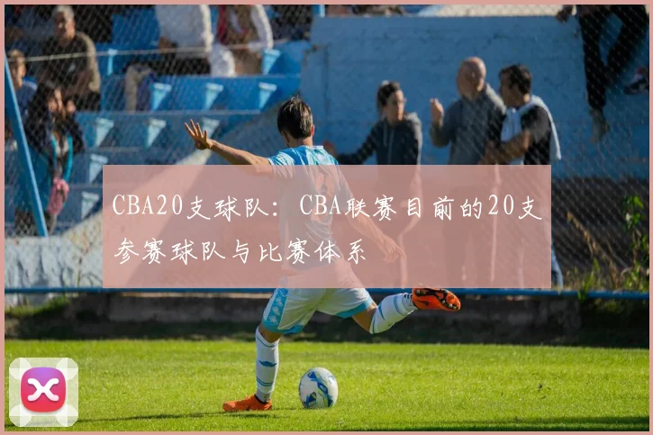 CBA20支球队：CBA联赛目前的20支参赛球队与比赛体系