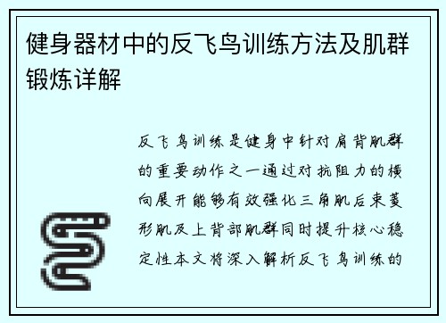 健身器材中的反飞鸟训练方法及肌群锻炼详解